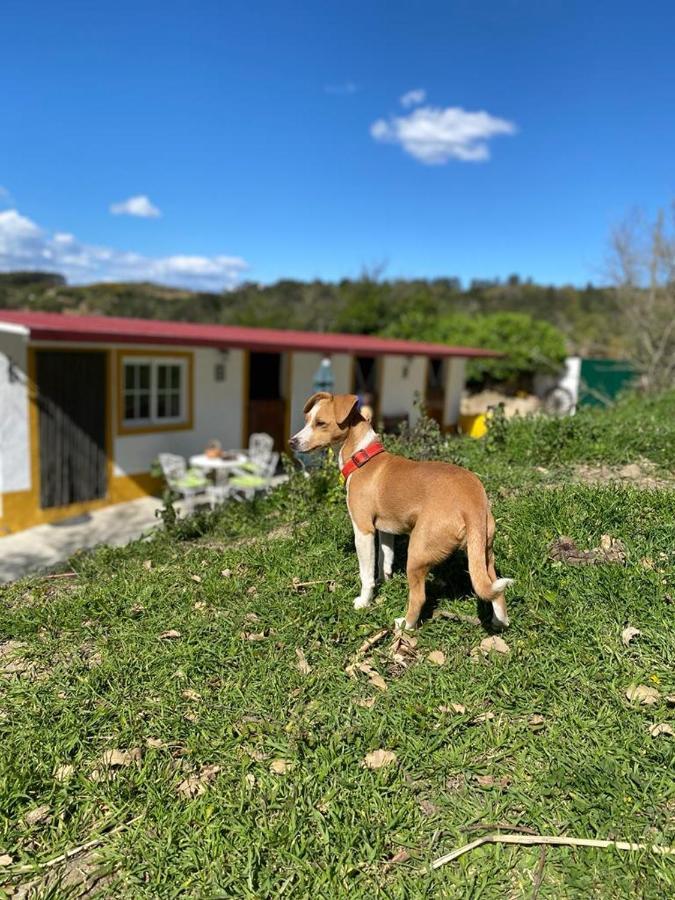 Casinha De Ferias No Campo - Quintinha Dos Cavalos - Arruda Dos Vinhos Sabugos Exterior foto