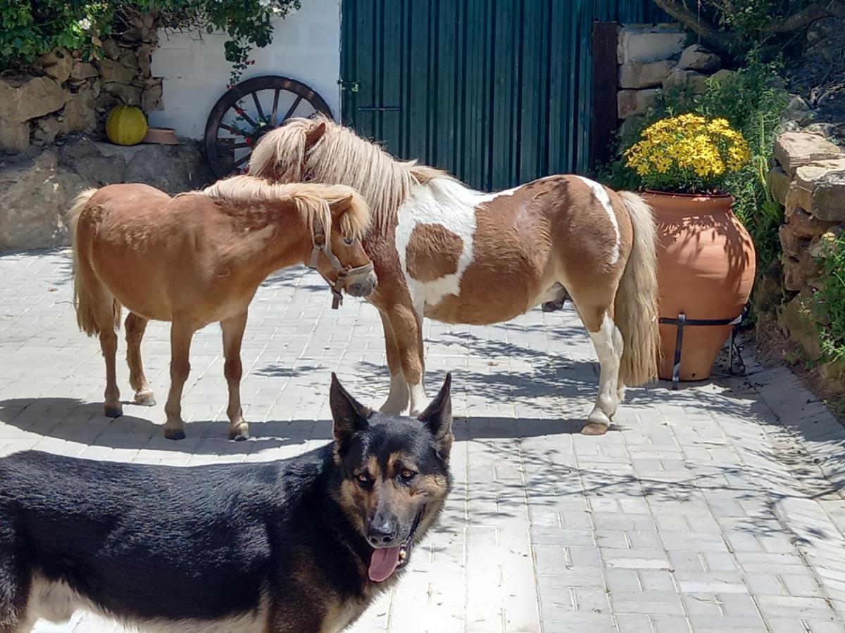 Casinha De Ferias No Campo - Quintinha Dos Cavalos - Arruda Dos Vinhos Sabugos Exterior foto
