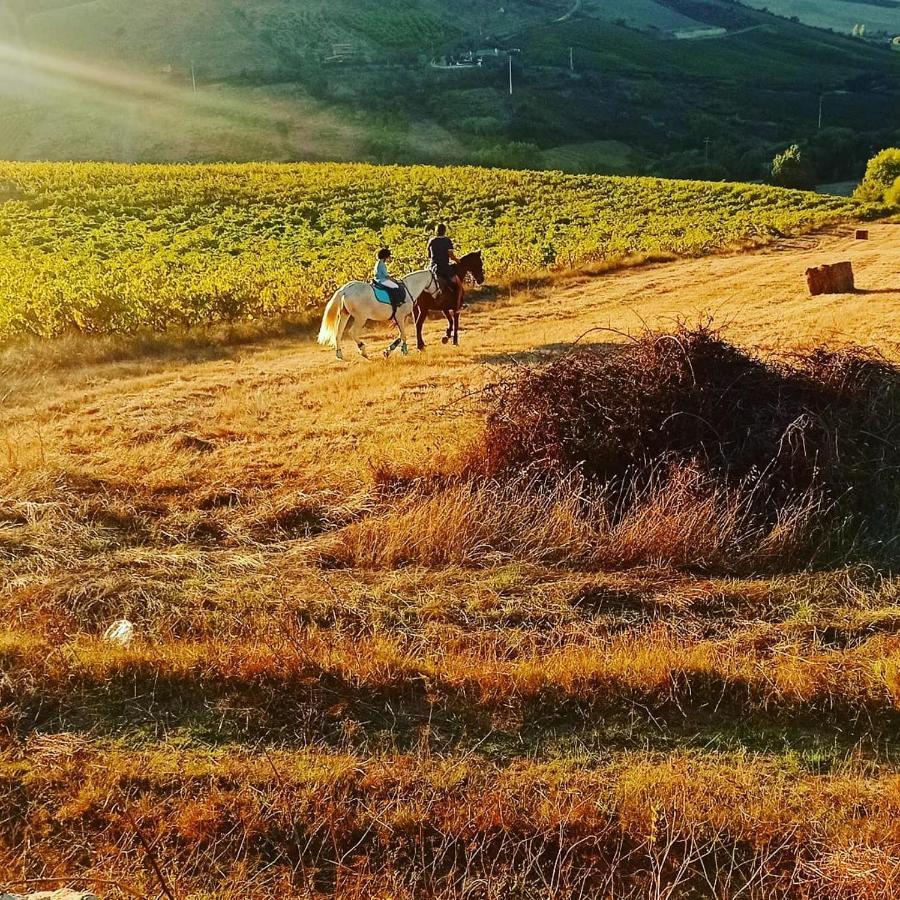 Casinha De Ferias No Campo - Quintinha Dos Cavalos - Arruda Dos Vinhos Sabugos Exterior foto