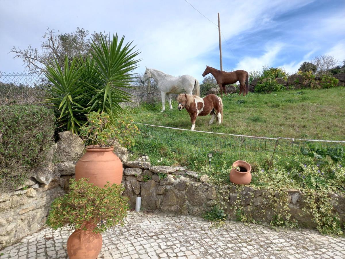 Casinha De Ferias No Campo - Quintinha Dos Cavalos - Arruda Dos Vinhos Sabugos Exterior foto
