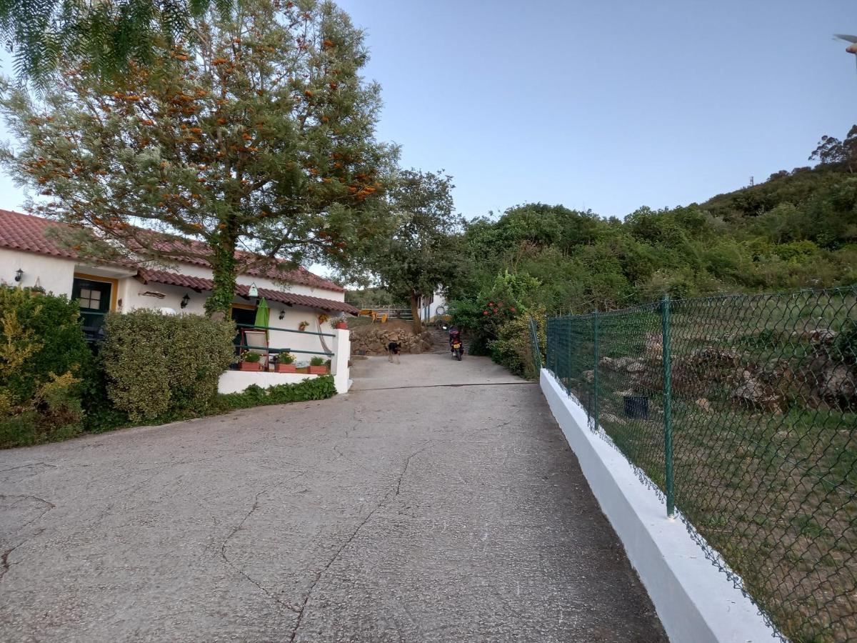 Casinha De Ferias No Campo - Quintinha Dos Cavalos - Arruda Dos Vinhos Sabugos Exterior foto